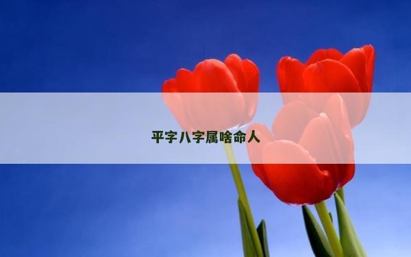 平字八字屬啥命人
