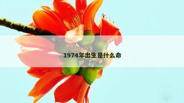 1974年出生是什么命