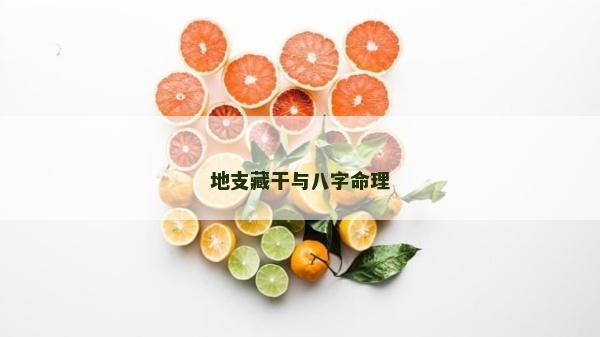 地支藏干與八字命理