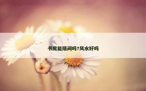 書房能隔間嗎?風水好嗎 書房能隔間嗎?風水好嗎