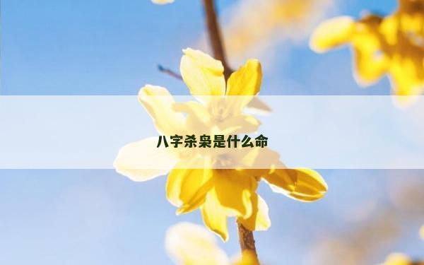 八字殺梟是什么命