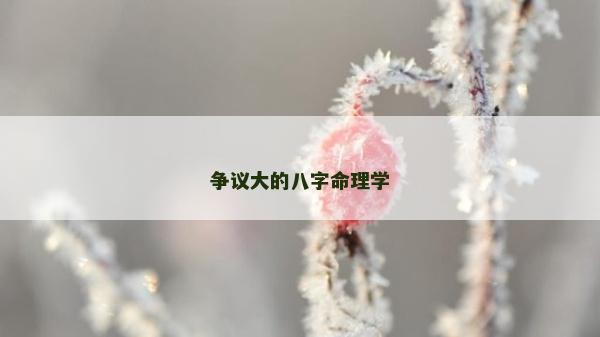 爭議大的八字命理學 爭議大的八字命理學