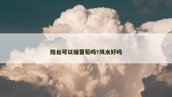 陽臺可以插葡萄嗎?風(fēng)水好嗎
