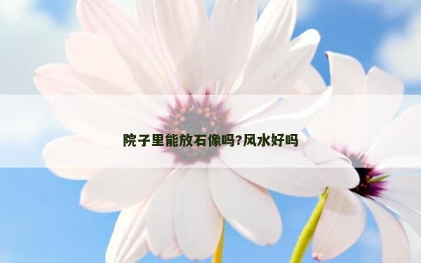 院子里能放石像嗎?風水好嗎