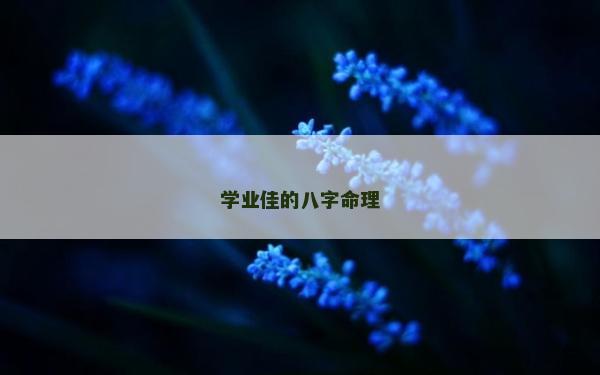 學業(yè)佳的八字命理