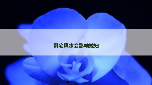 陰宅風水會影響媳婦