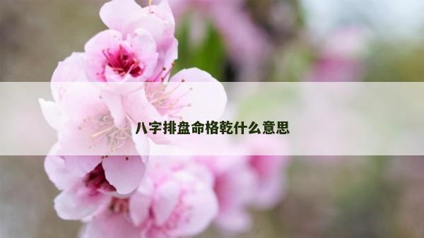 八字排盤命格乾什么意思