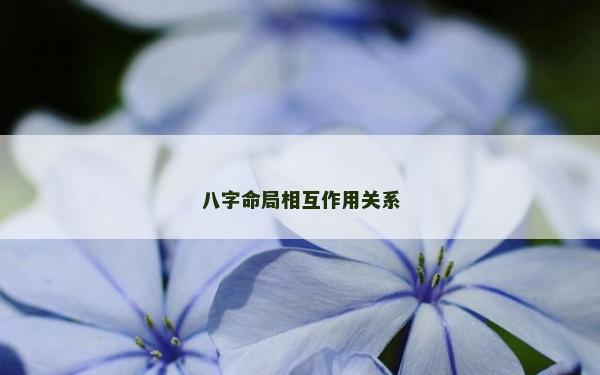 八字命局相互作用關系