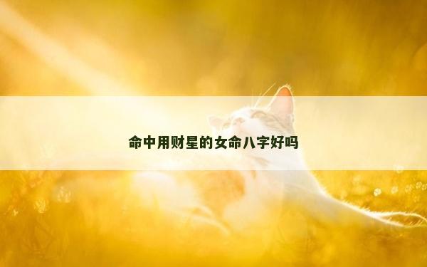 命中用財星的女命八字好嗎