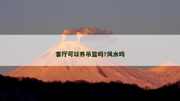 客廳可以養吊籃嗎?風水嗎