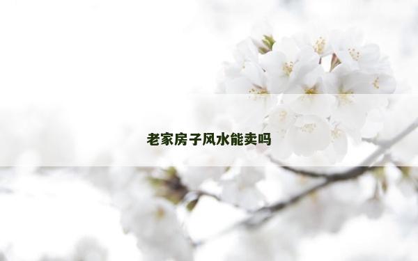 老家房子風水能賣嗎