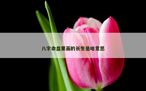 八字命盤里面的長生是啥意思