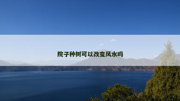 院子種樹可以改變風水嗎
