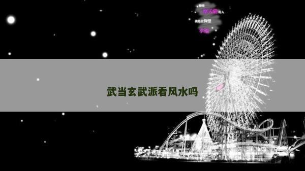 武當(dāng)玄武派看風(fēng)水嗎
