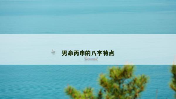 男命丙申的八字特點