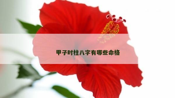 甲子時柱八字有哪些命格