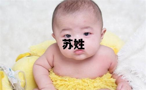 蘇姓取名有詩意的男寶寶名字