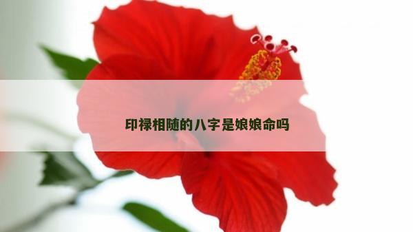 印祿相隨的八字是娘娘命嗎