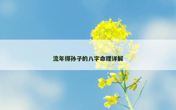 流年得孫子的八字命理詳解