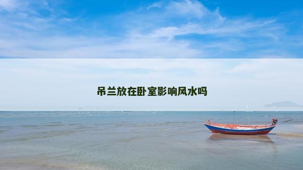 吊蘭放在臥室影響風水嗎