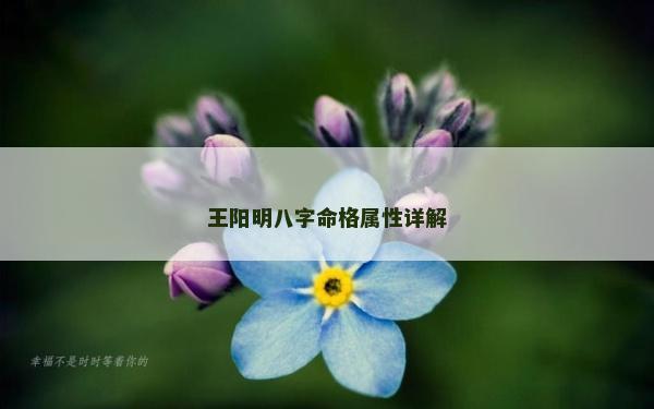 王陽明八字命格屬性詳解