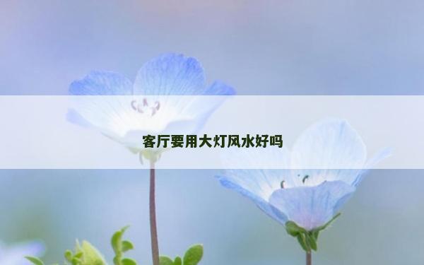 客廳要用大燈風水好嗎