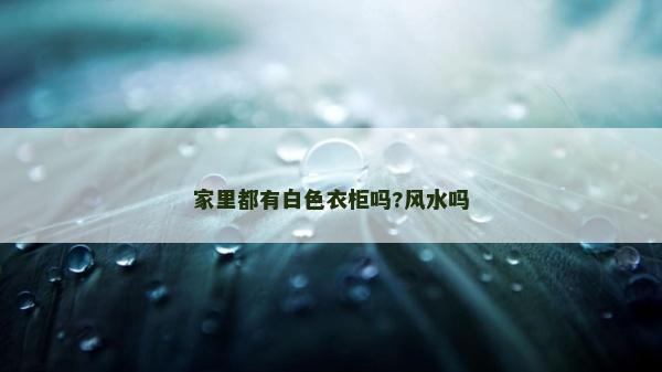 家里都有白色衣柜嗎?風水嗎 家里都有白色衣柜嗎?風水嗎