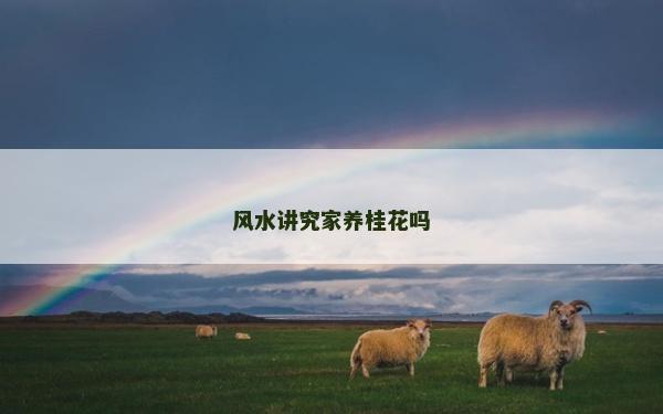 風水講究家養桂花嗎