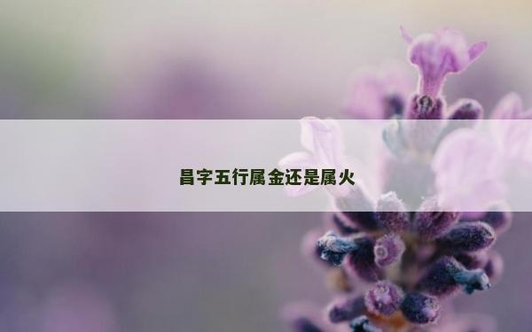 昌字五行屬金還是屬火