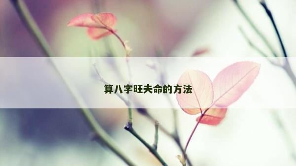 算八字旺夫命的方法
