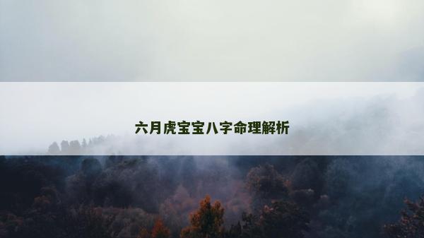 六月虎寶寶八字命理解析