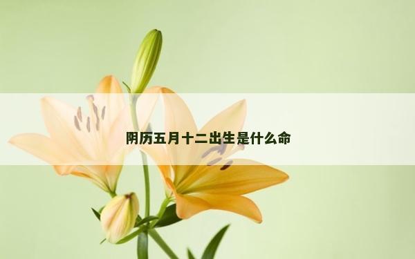 陰歷五月十二出生是什么命