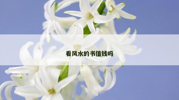 看風水的書值錢嗎
