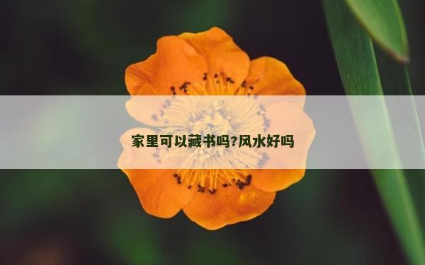 家里可以藏書嗎?風水好嗎