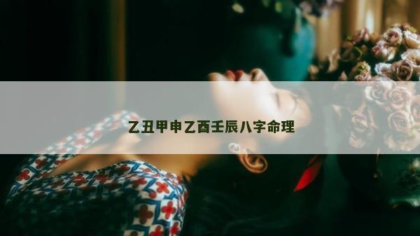 乙丑甲申乙酉壬辰八字命理