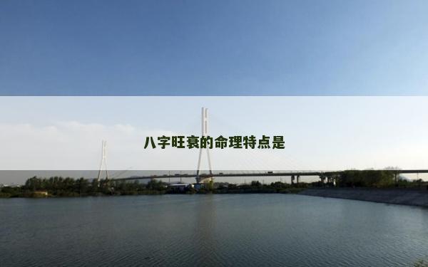 八字旺衰的命理特點是