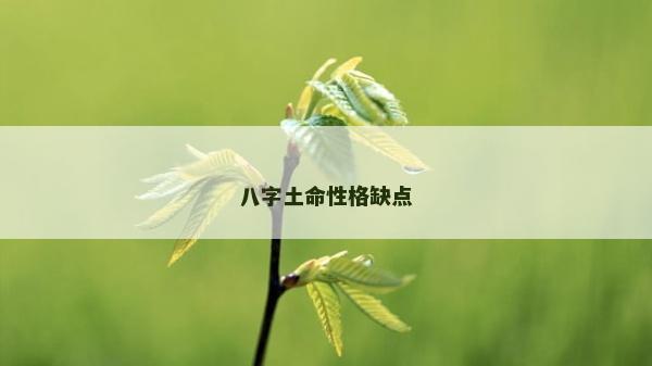 八字土命性格缺點