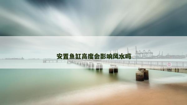 安置魚缸高度會影響風水嗎