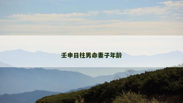 壬申日柱男命妻子年齡