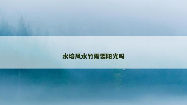 水培風(fēng)水竹需要陽(yáng)光嗎