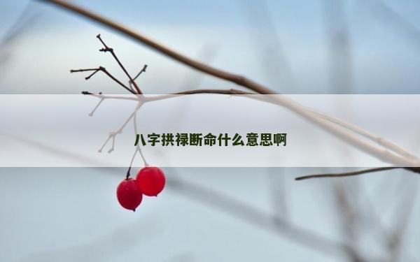 八字拱祿斷命什么意思啊