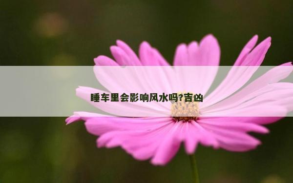 睡車里會影響風水嗎?吉兇