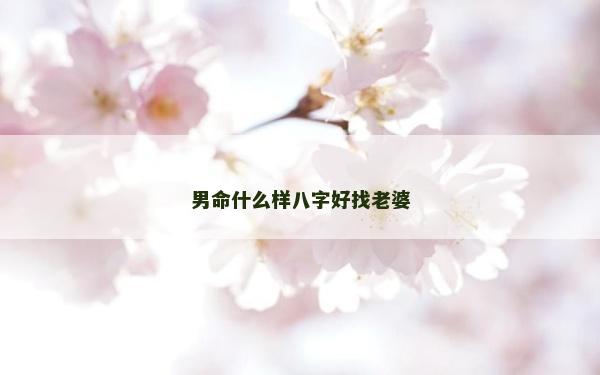 男命什么樣八字好找老婆
