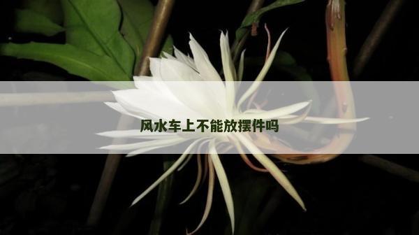 風(fēng)水車(chē)上不能放擺件嗎