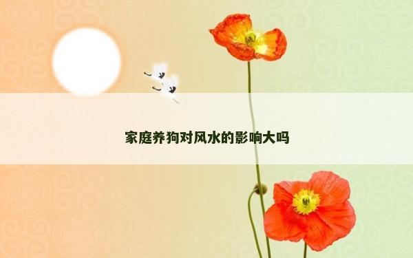 家庭養狗對風水的影響大嗎