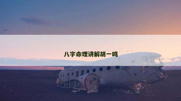 八字命理講解胡一鳴