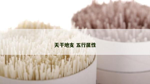 天干地支 五行屬性