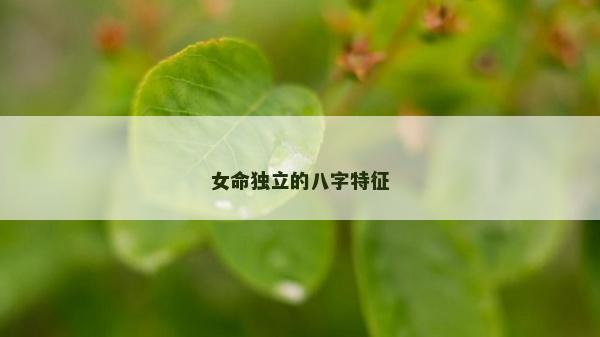 女命獨立的八字特征