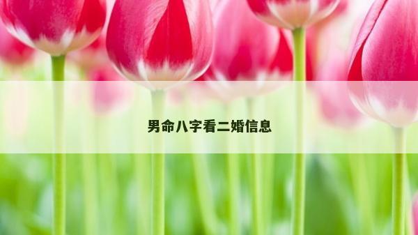 男命八字看二婚信息