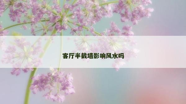 客廳半截墻影響風水嗎